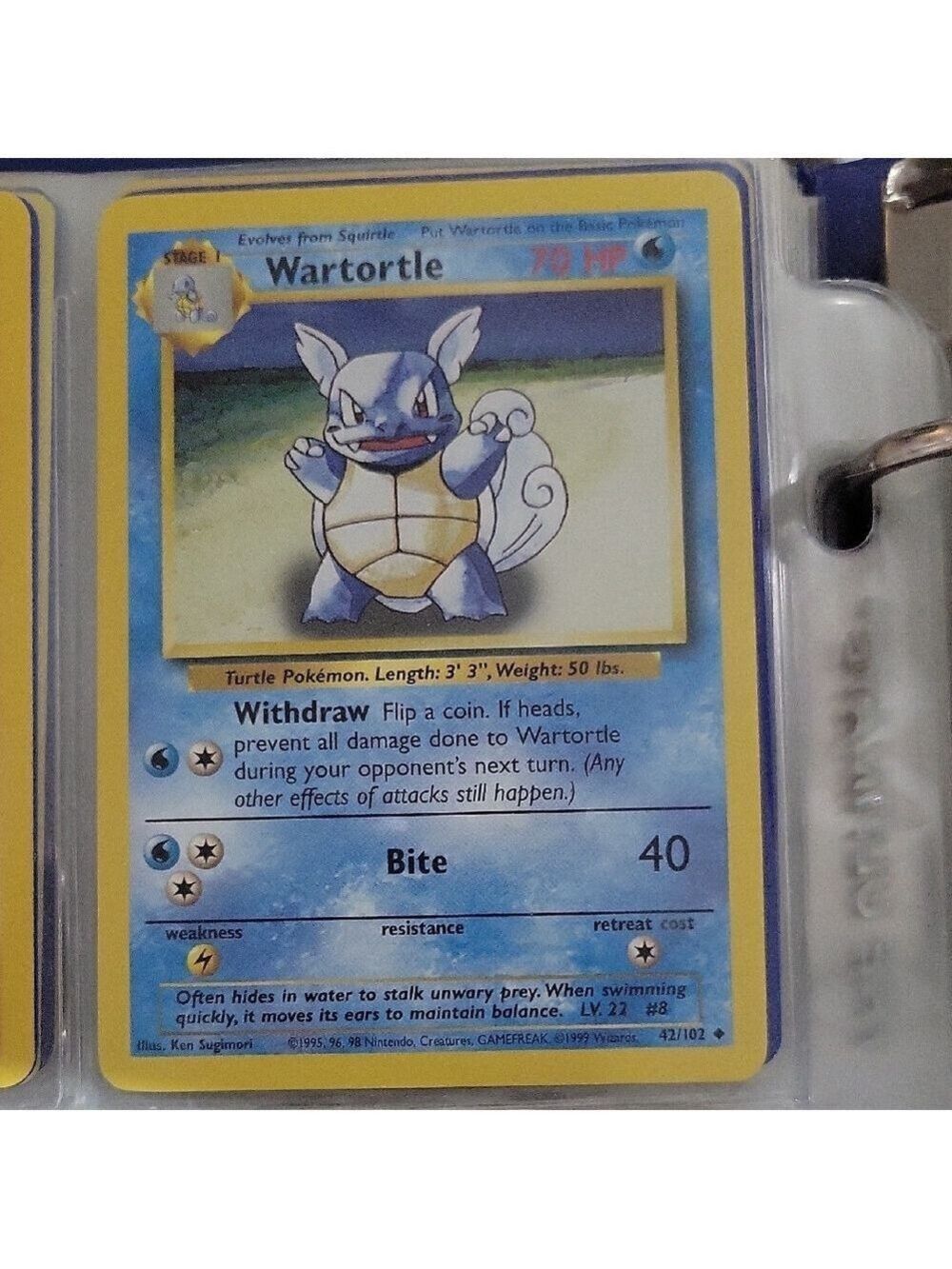 Pokemon Card Wartortle
